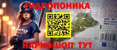 соль ск Гусь-Хрустальный