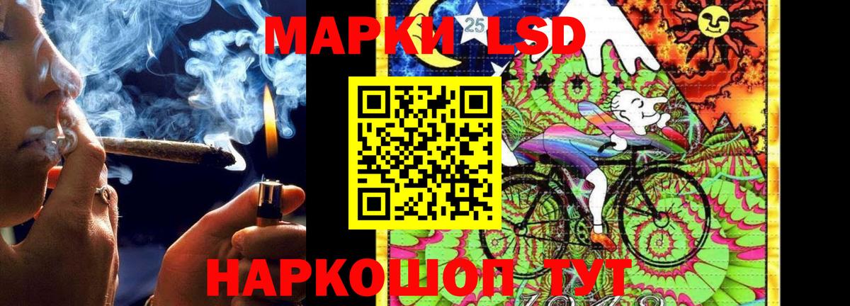 ссылка на мегу как войти  Лсд 25 экстази ecstasy  Новозыбков  Вход с VPN  ЛСД экстази ecstasy  Лсд 25 экстази 