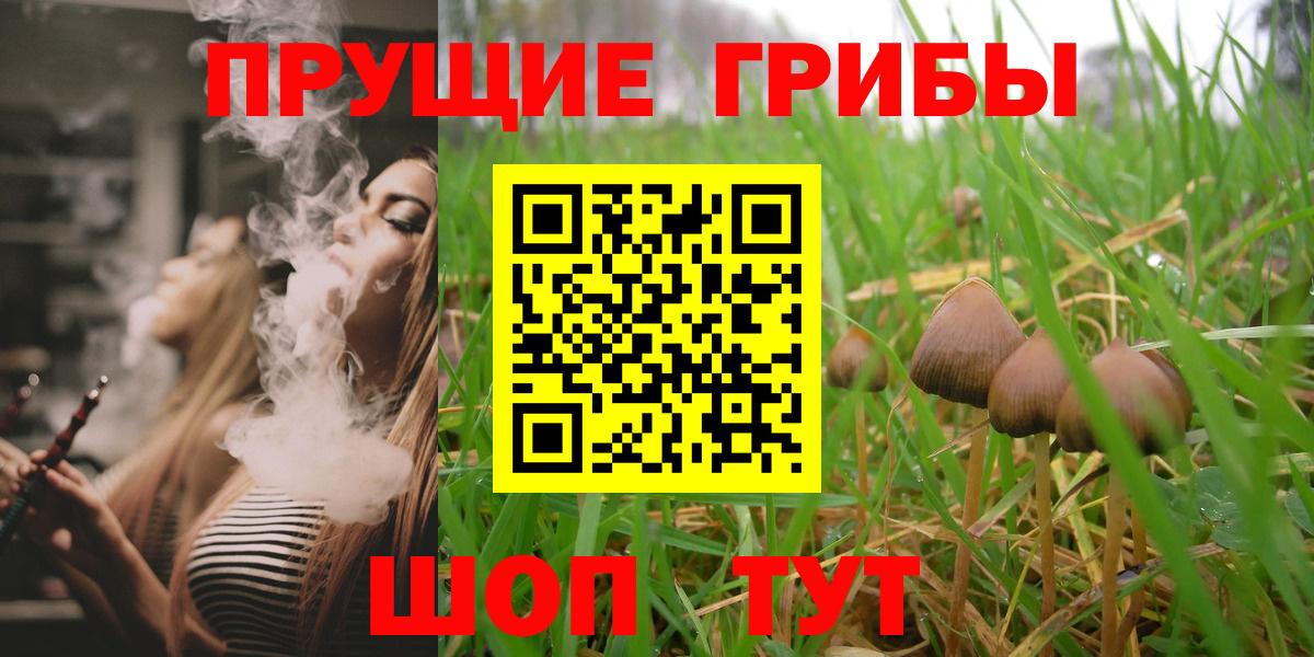 Псилоцибиновые грибы Magic Shrooms Новозыбков