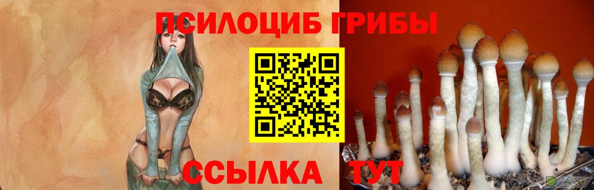 Псилоцибиновые грибы мухоморы  Вход с VPN  Галлюциногенные грибы мухоморы  Новозыбков 